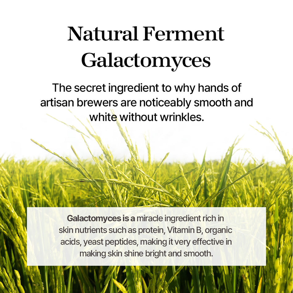 Galactomyces Ferment Essence 100ml